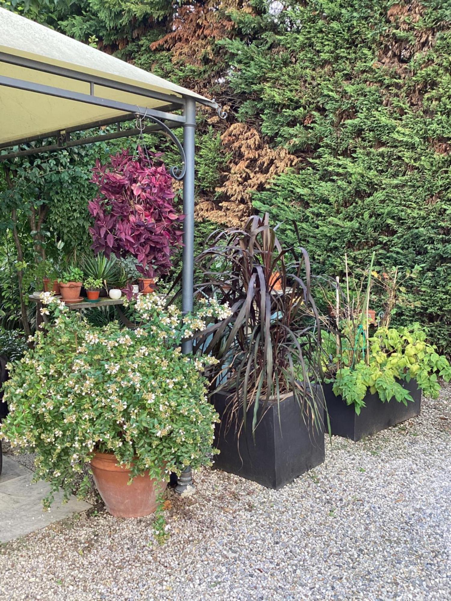 Il Villino Della Duchessa Bed and Breakfast Parma Exteriör bild