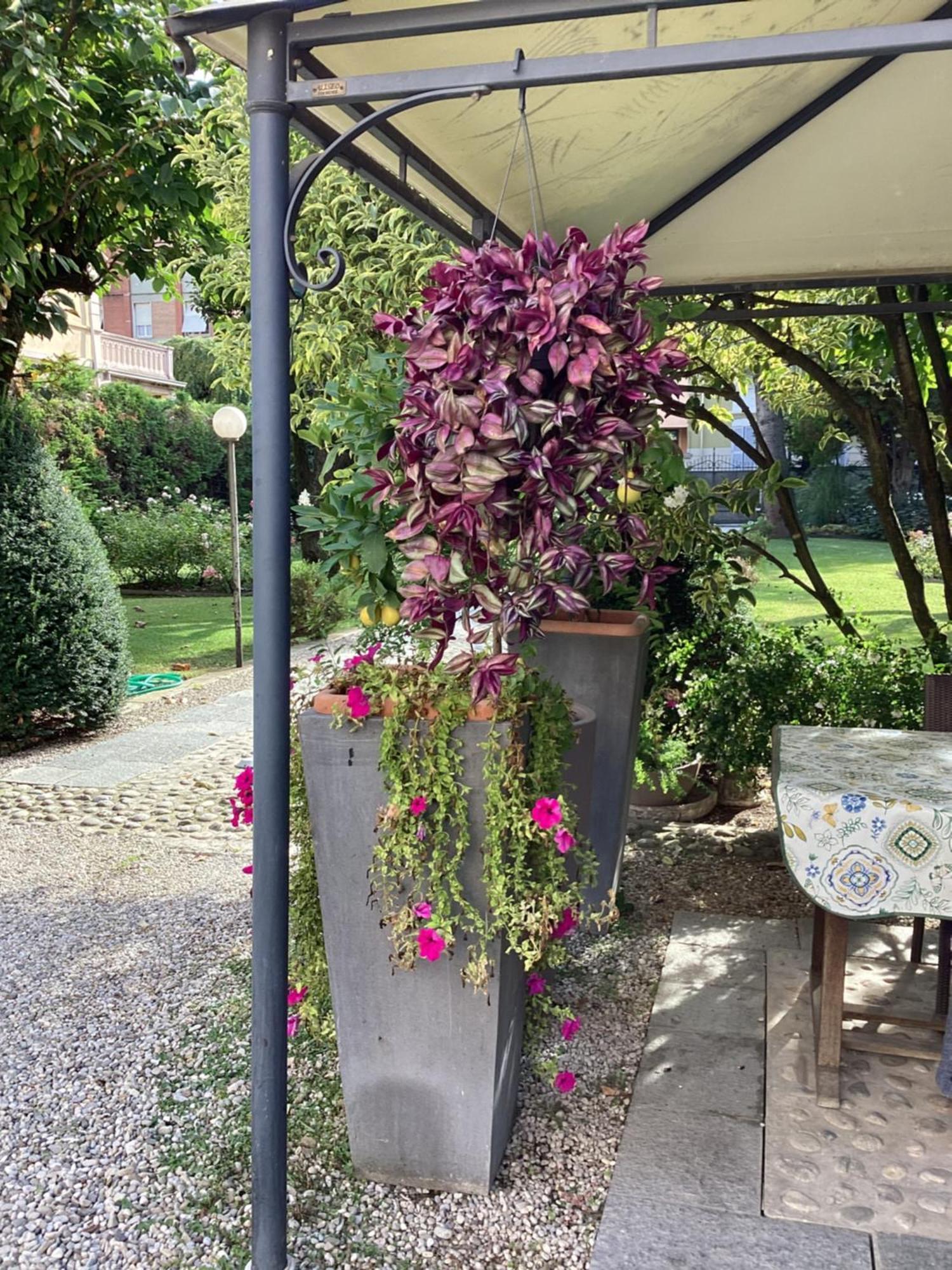 Il Villino Della Duchessa Bed and Breakfast Parma Exteriör bild